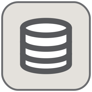 Data icon